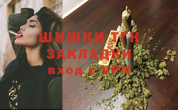 мдпв Верхний Тагил