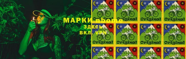 мдпв Верхний Тагил