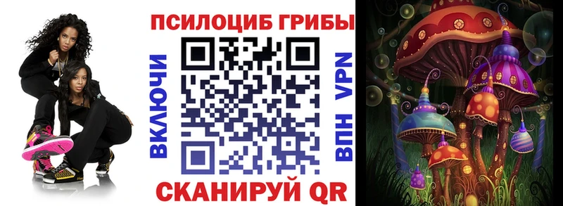ссылка на мегу ONION Нальчик Галлюциногенные грибы мицелий
